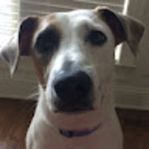 Meet your Posher, Cathy